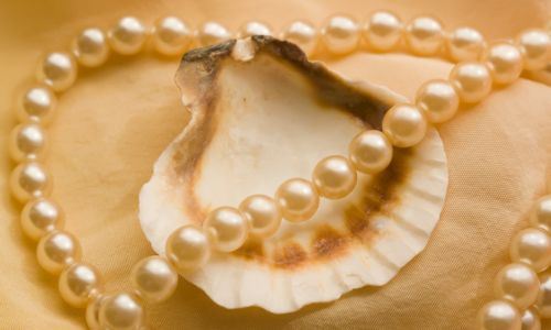 collier de perle avec coquillage 