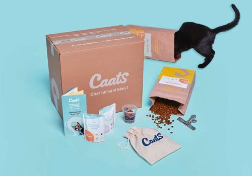 box pour chat caats