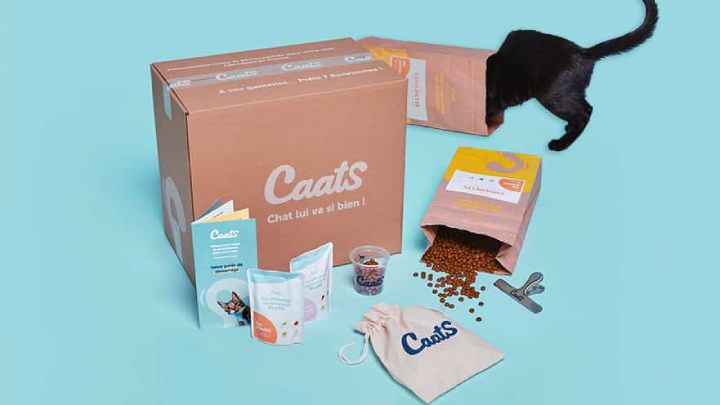 caats box pour chat