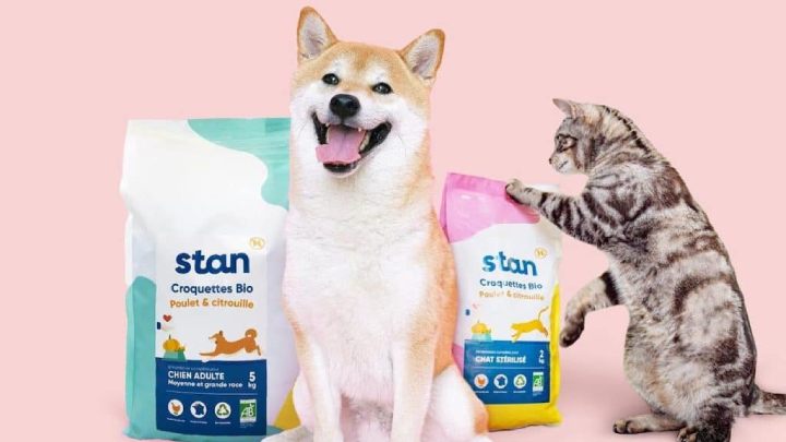 stan box pour chien et chat