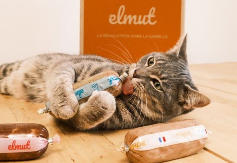 chat avec produits et box elmut