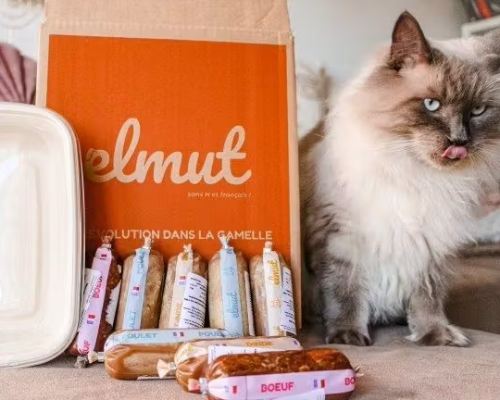 chat avec contenu de la box elmut