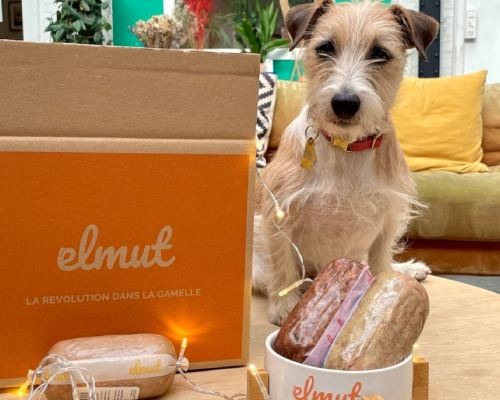 chien avec contenu d'une box elmut