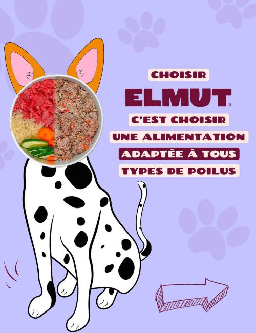 illustration de chez elmut