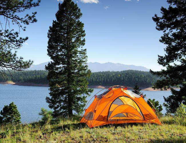 camping et tente au milieu de la foret 
