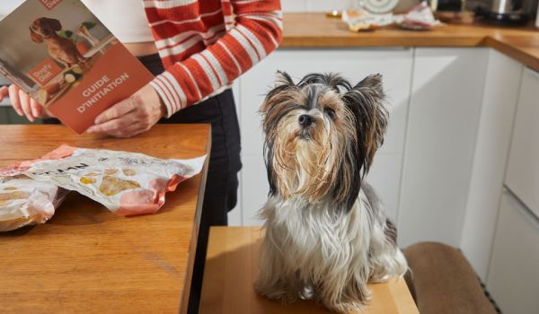 petit chien avec produits dogfy diet