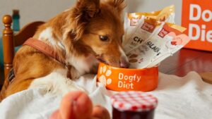 presentation de la box dogfy diet