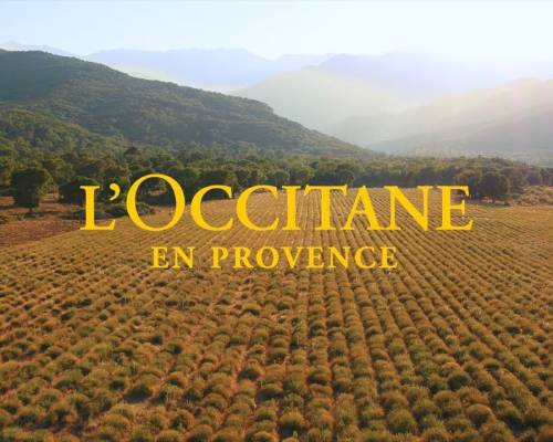 logo de la marque l'occitane en provence 