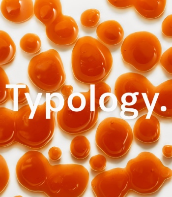 image du logo typology avec des points orange 